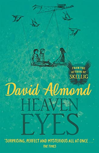 Heaven Eyes von Hodder Children's Books